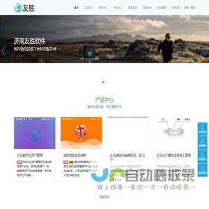 网站截图